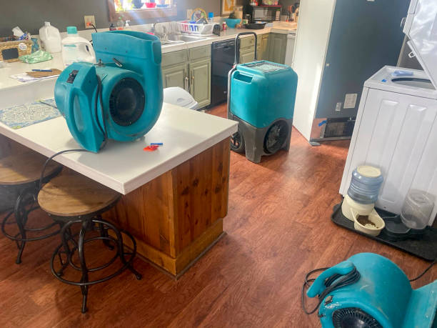 Best Fire Damage Restoration  in Folly Beach, SC