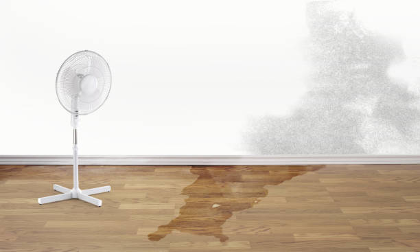Best Water damage restoration services  in Folly Beach, SC