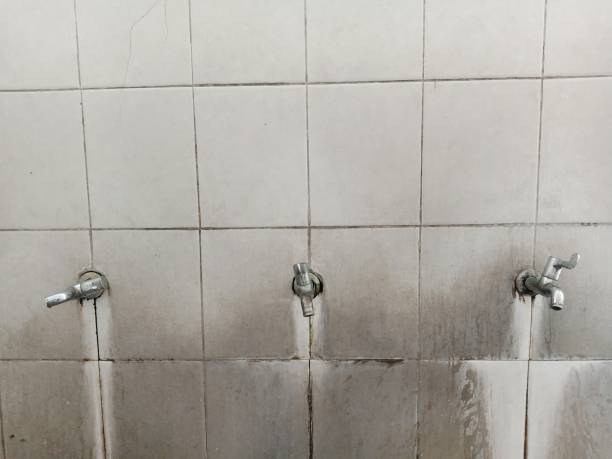 Best Commercial water damage restoration  in Folly Beach, SC