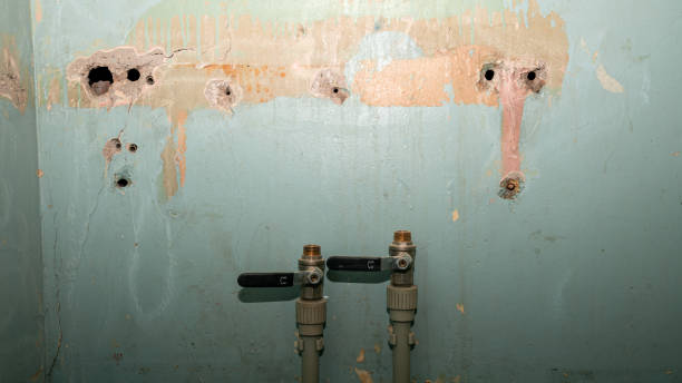 Reliable SC Water damage restoration Solutions